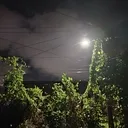 Bright moon illuminating surrounding trees